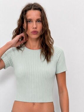 Colorush Mint Ribbed Short-Sleeve Crop Sweater